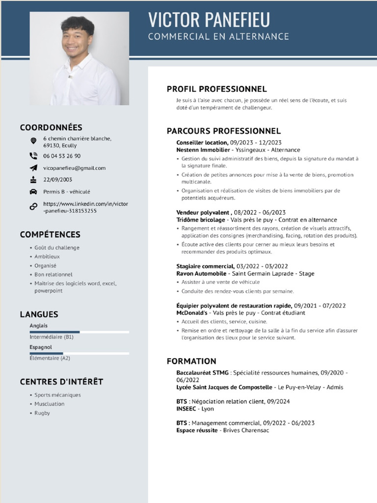 CV Commercial | PDF