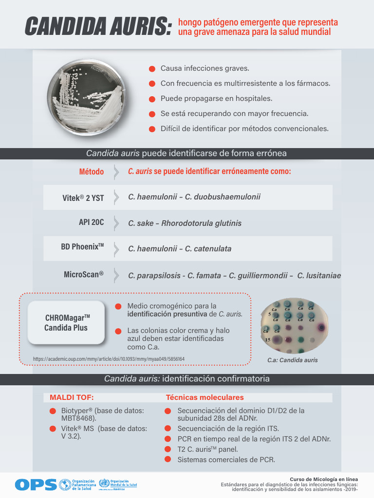 Candida Auris 1 | PDF | Hongo | Ciencias de la vida