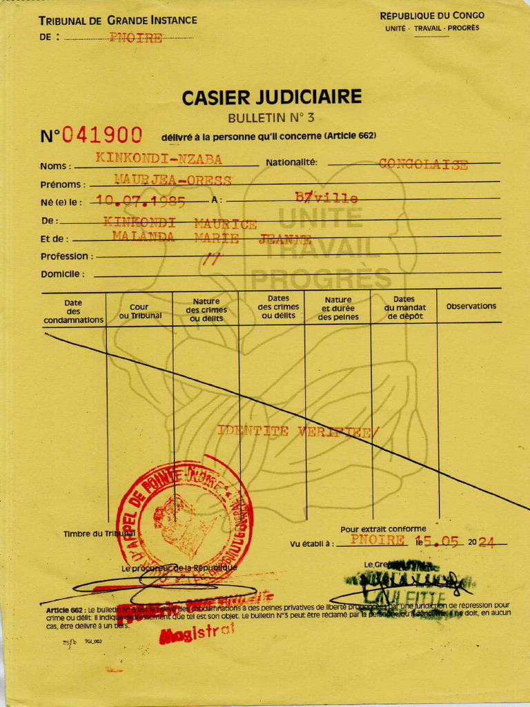 Casier Judiciaire | PDF