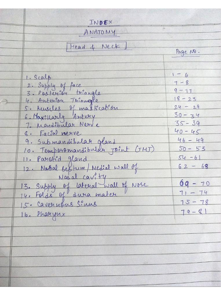 Anatomy Head And Neck Pdf