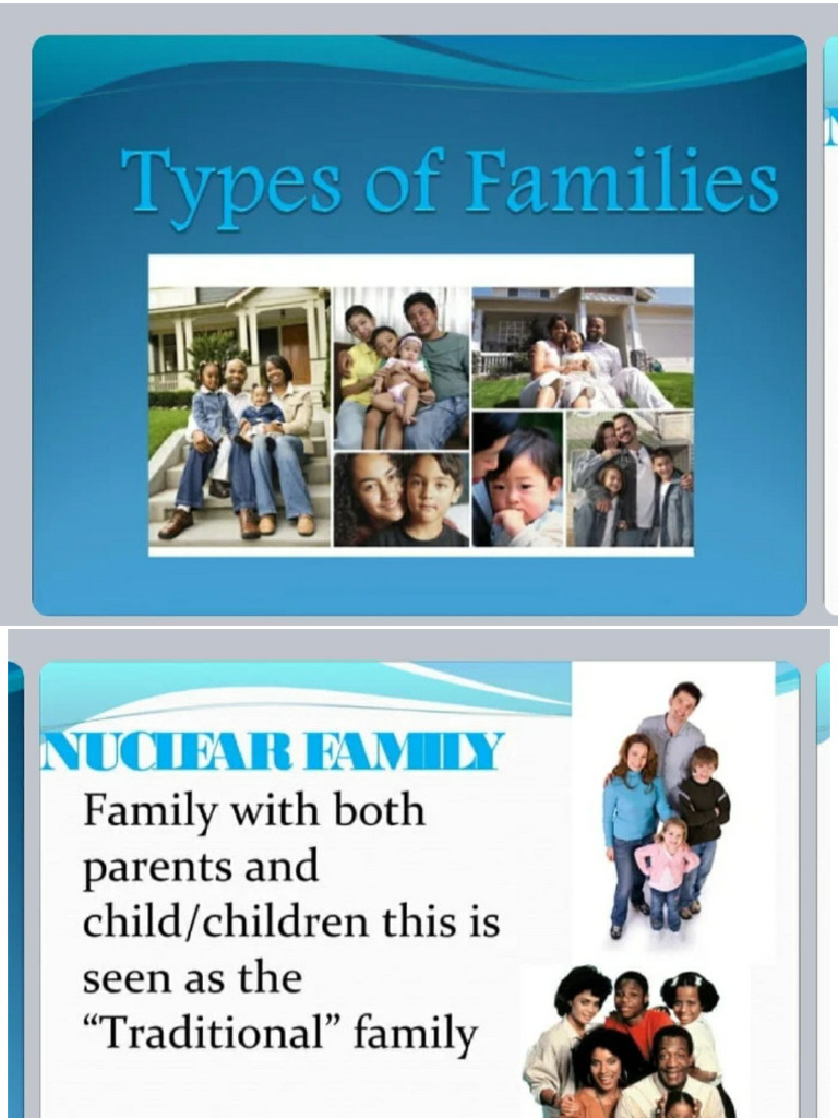 5 Types Of Family Diversity Rapoports