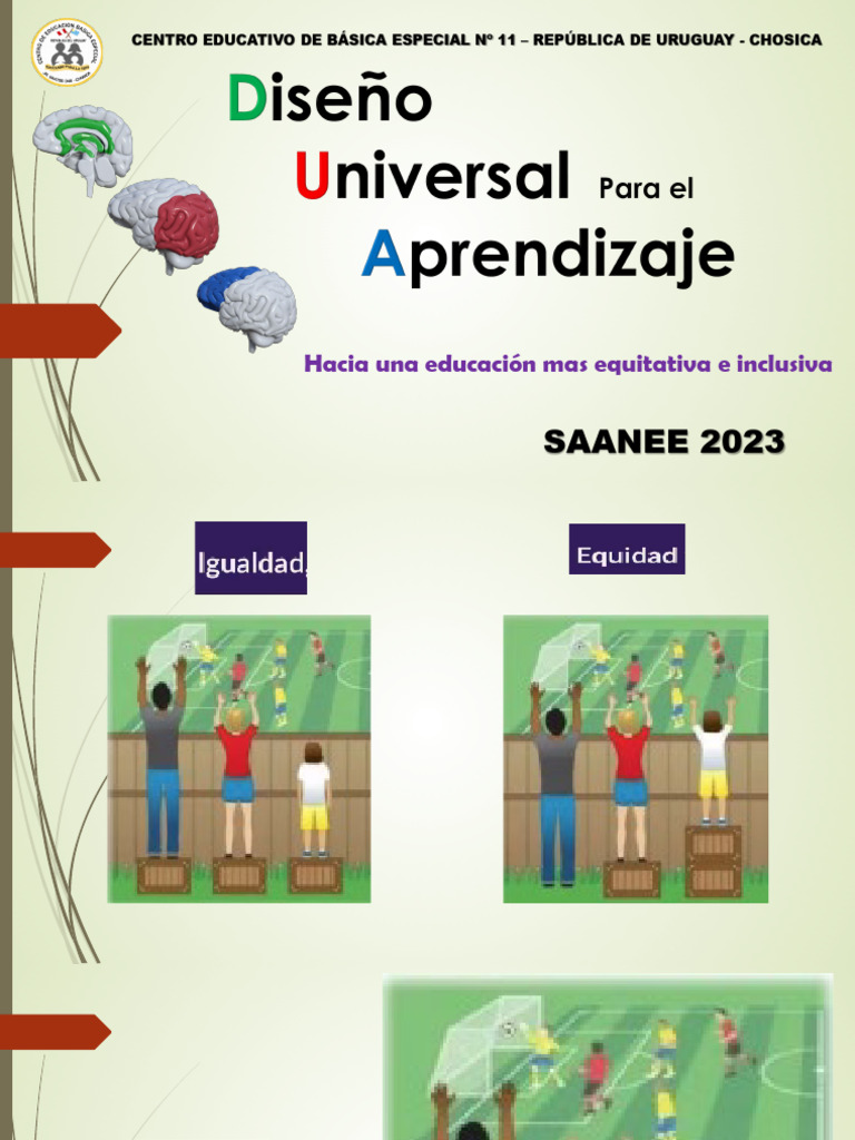 Principios del DUA en Educación Inclusiva | PDF | Aprendizaje | Los ...