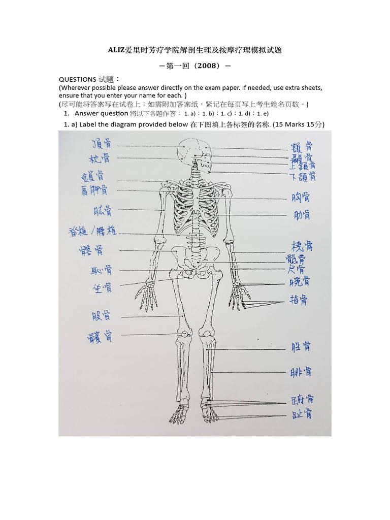 ALIZ IFA生理解剖模拟试题简(第一回）解答| PDF