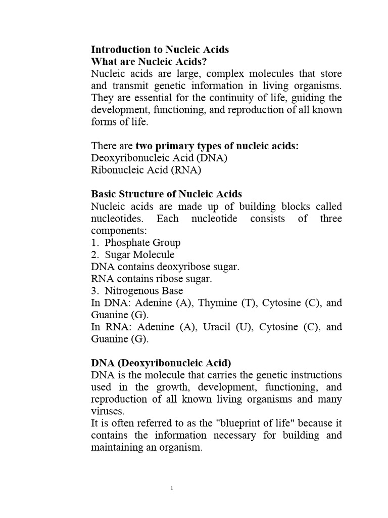 Overview of Nucleic Acids and DNA | PDF | Rna | Nucleic Acids