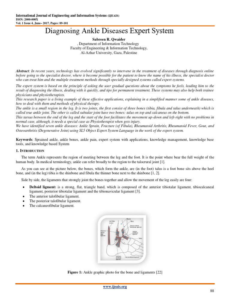 Ankle Disease Diagnosis Expert System | PDF | Arthritis | Ankle