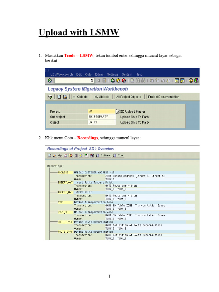 Panduan Upload Data dengan LSMW | PDF