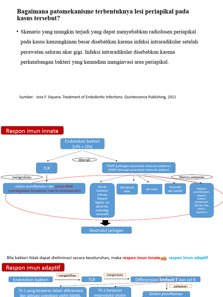 Patomekanisme Lesi Periapikal Gigi | PDF