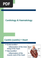 Download Systemic Terminology CVSGIT by Fazira Ekma SN75301492 doc pdf