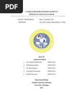 Download Laporan Praktikum Fisiologi Hewan Golongan Darah by Nur Afida EL-lidiyah SN75302318 doc pdf