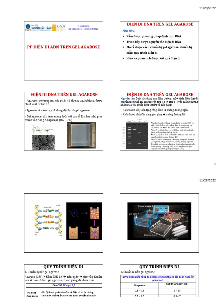 i-n-di-pdf