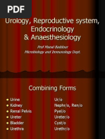 Download Systemic Terminology UrologyGynecologyEndocrine Anaesthesia by Fazira Ekma SN75303005 doc pdf
