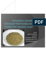 Pengaruh Cahaya Terhadap Pertumbuhan Tumbuhan Kacang Hijau