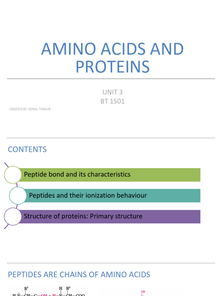 Lecture 4 Pdf Peptide Proteins