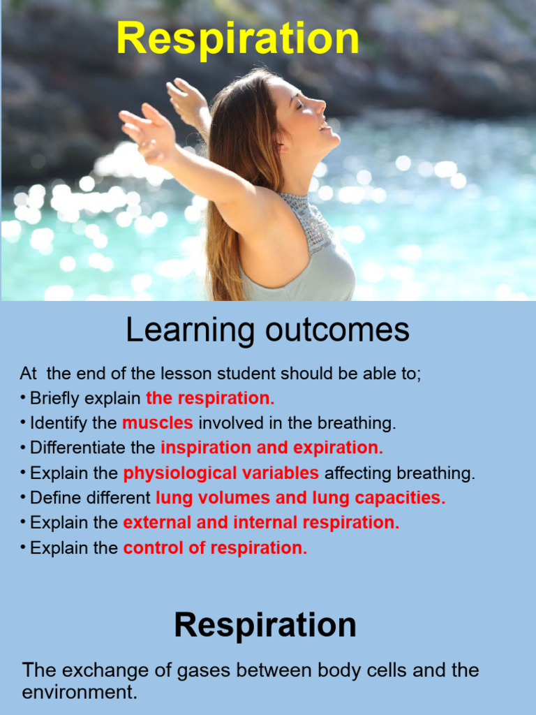 Understanding Respiration Processes | PDF | Exhalation | Respiratory System