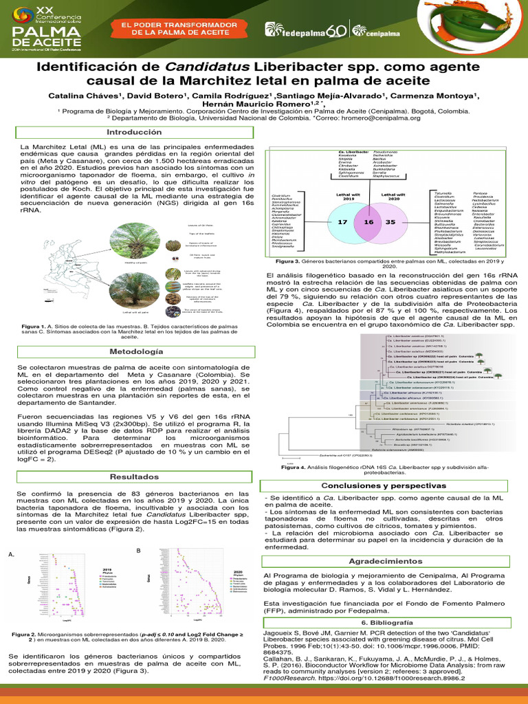 Candidatus Liberibacter spp. y Marchitez Letal | PDF | Ciencias de la ...