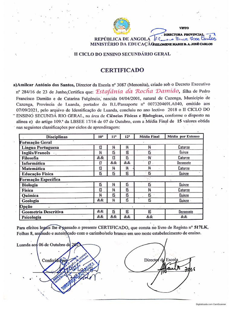 Certificado Reconhecido | PDF