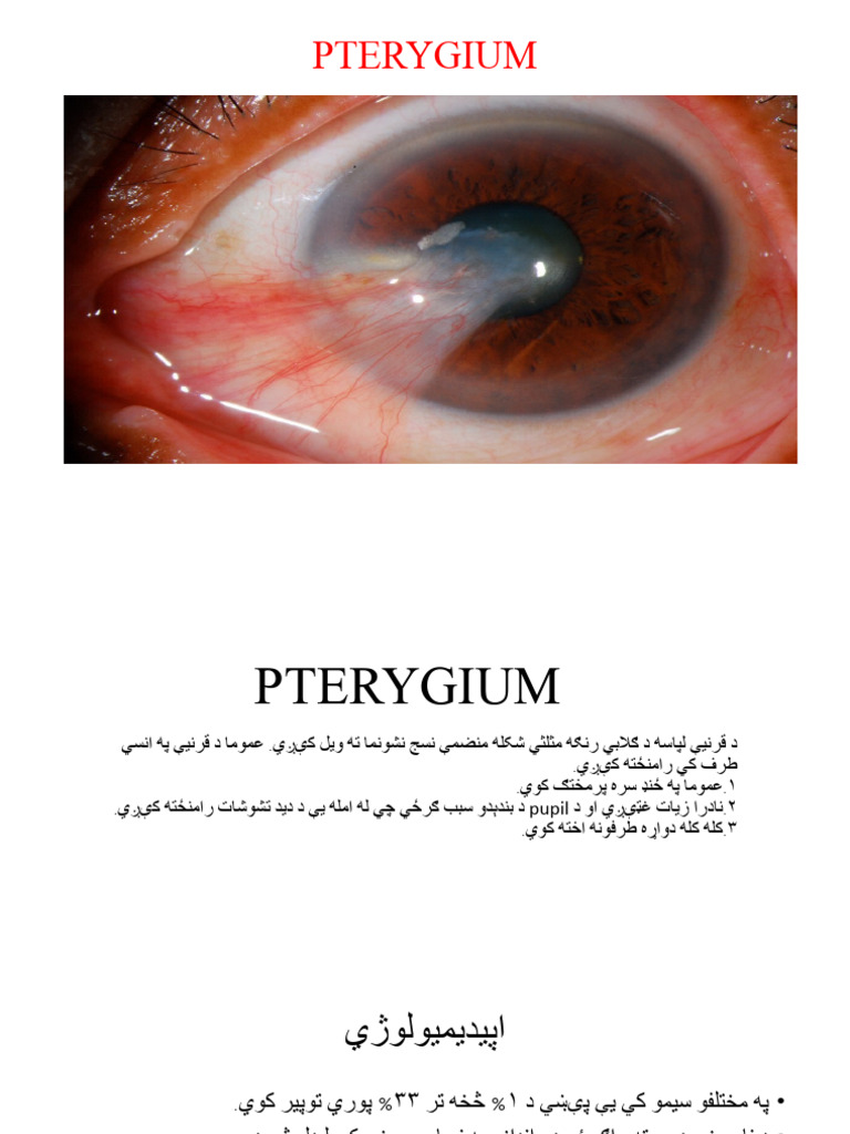 PTERYGIUM | PDF