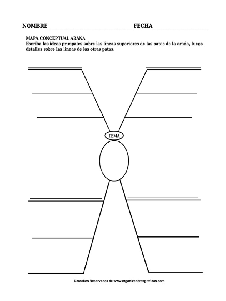 Mapa Conceptual Araña | PDF