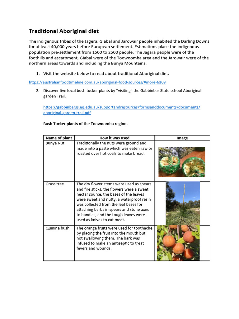 Traditional aboriginal diet plan
