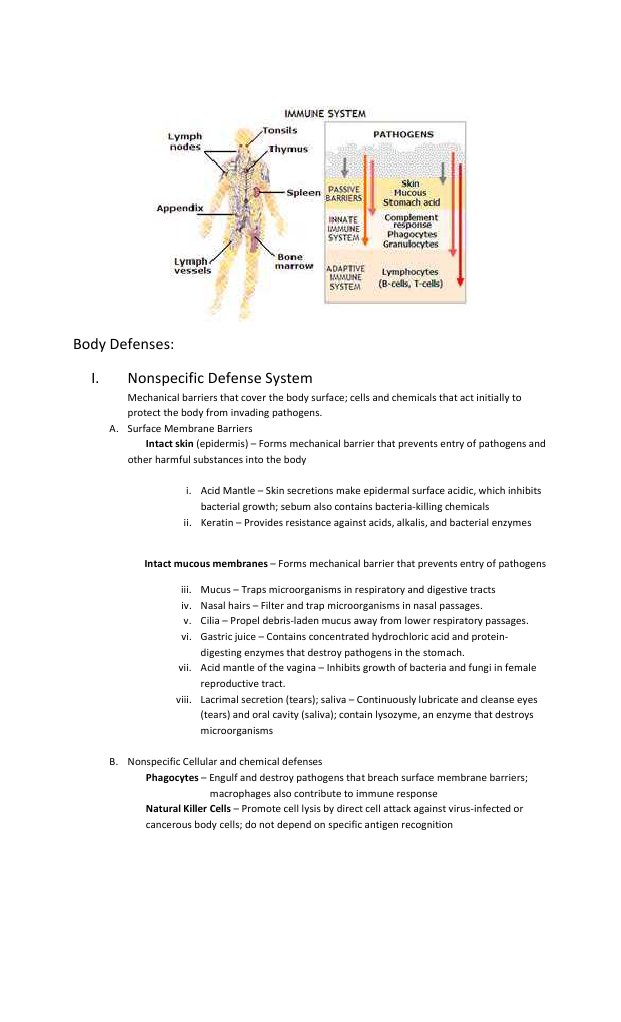 Body Defenses | PDF