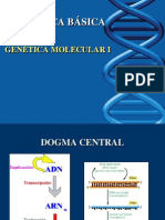 Molecular 1