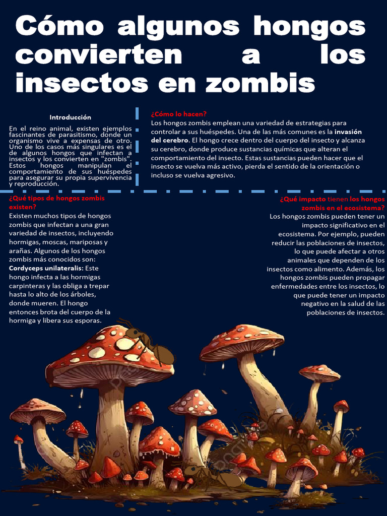 Cómo Algunos Hongos Convierten A Los Insectos en | PDF | Hongo | Insectos