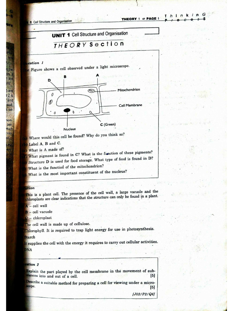 Biology Questions And Answers Pdf