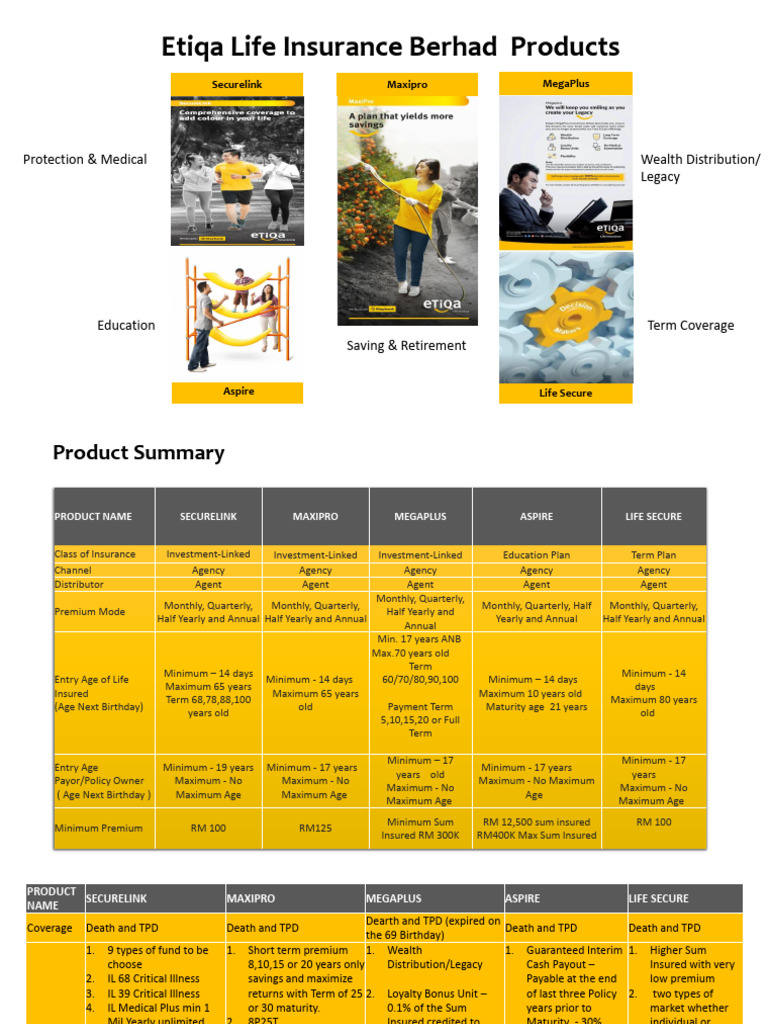 Product Summary by Derek | PDF | Insurance | Economies