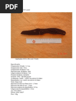 Review SanRenMu 939 Coated