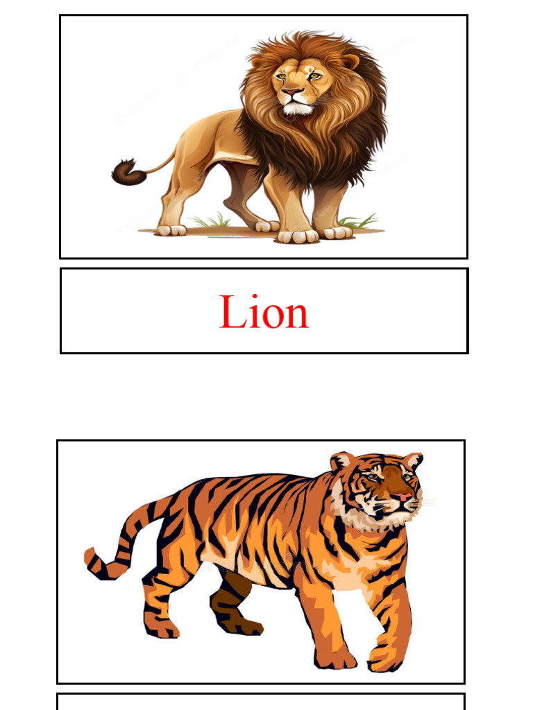 Animal | PDF