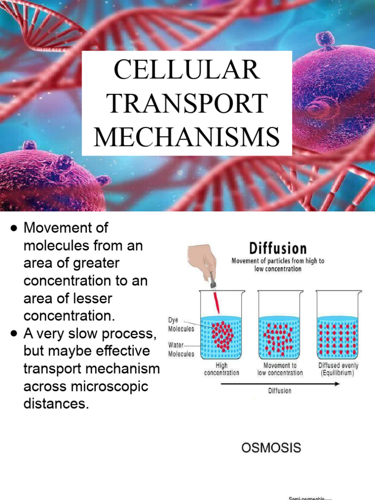 Human anatomy 1 pdf cell biology dna