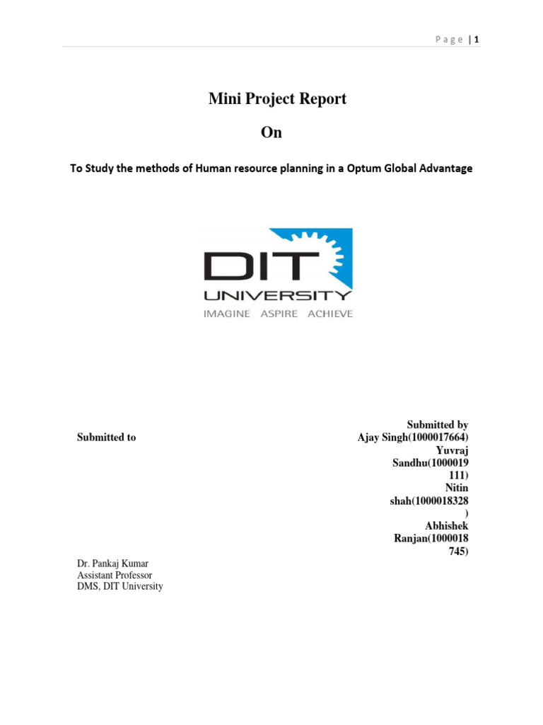 Mini Project People Management Group 13 | PDF | Human Resource ...
