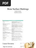 Common Bone Markings | PDF