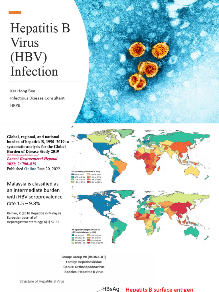Understanding Hepatitis B Infection | PDF | Hepatitis B | Hepatitis