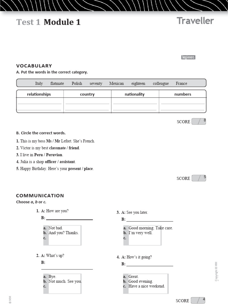 Traveller Beginners Test Booklet | PDF