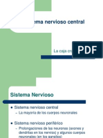 Sistema nervioso_sensorial