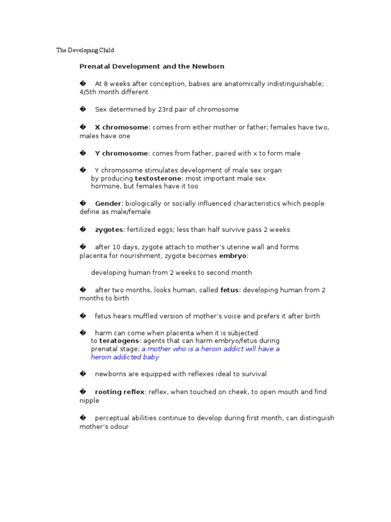 Chapter 3 The Developing Child | PDF | Attachment Theory | Cognitive ...