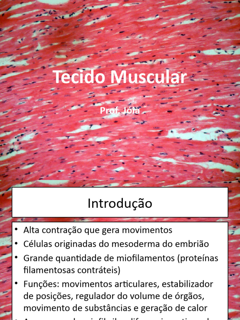 Tipos de Tecido Muscular e Suas Funções | PDF