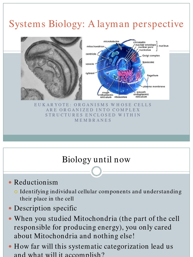Systems Biology: From Cells to Networks | PDF | Systems Biology | Biology