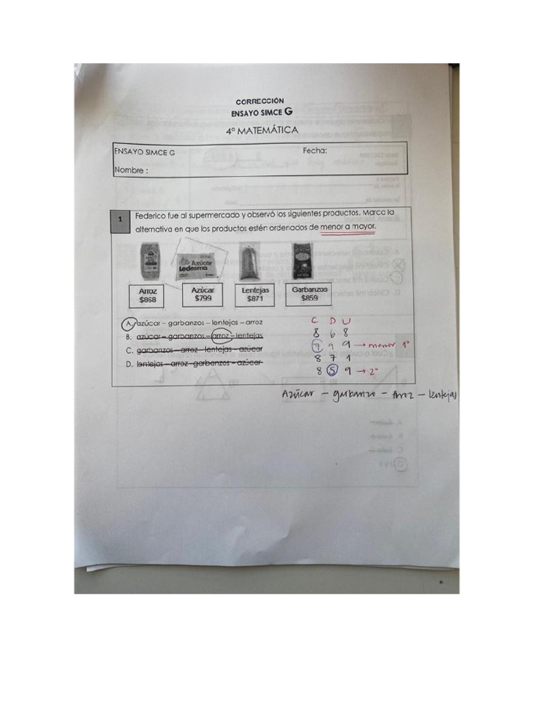 Corrección Ensayo SIMC | PDF