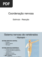 Sistema Nervoso - Apresentação