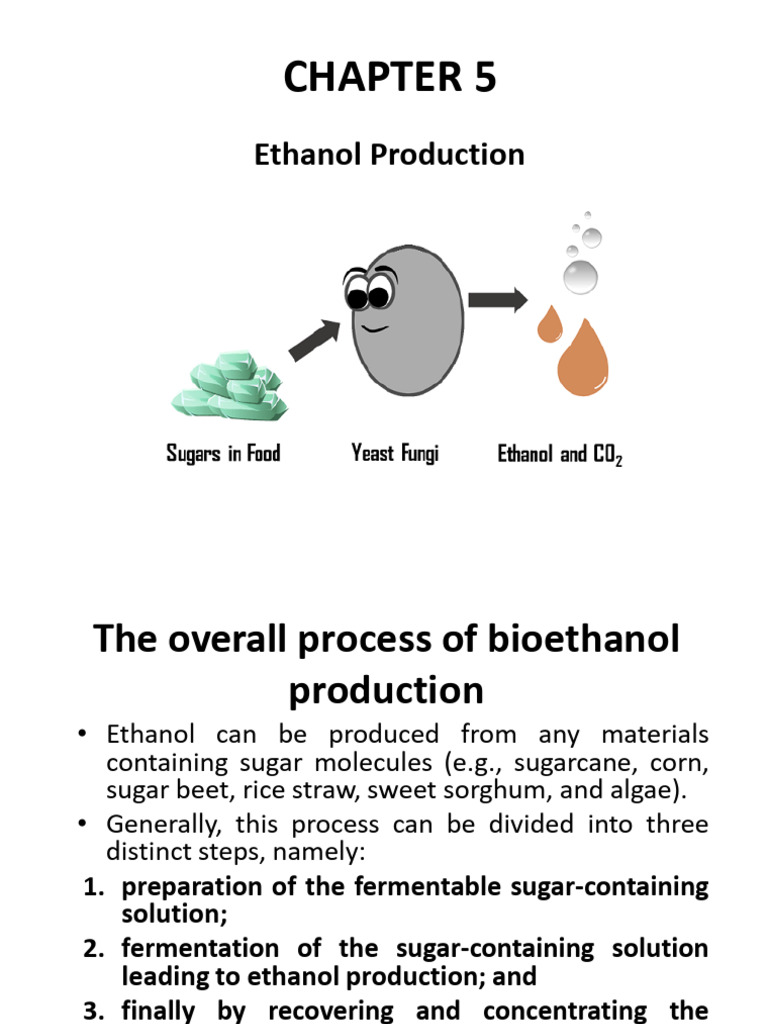 Biotechnology 9 | PDF | Ethanol | Fermentation