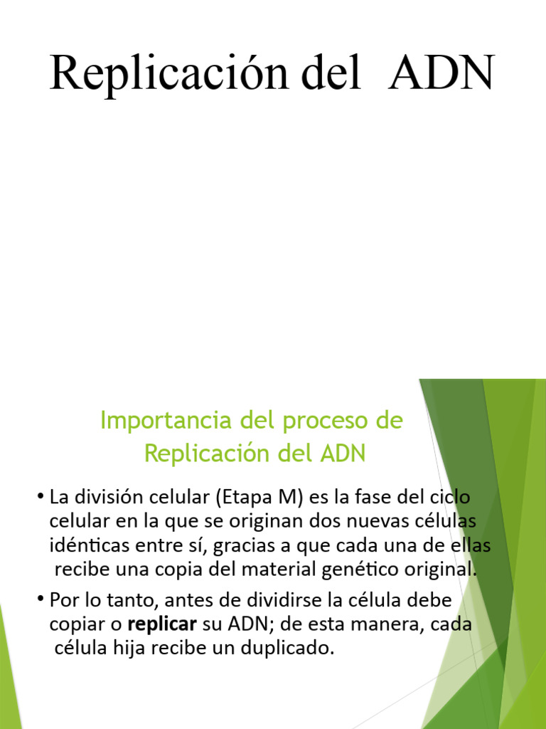 Replicacion Adn | PDF | Replicación De Adn | Adn