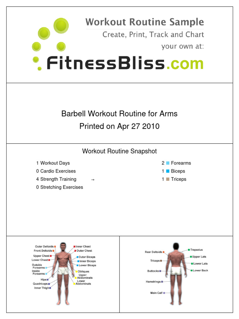Rutina de Entrenamiento para Brazos Con Barras | PDF | Arm | Anatomical ...