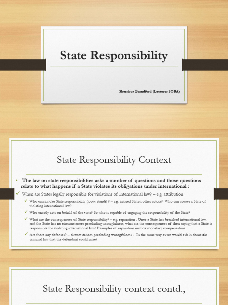 State responsibility pdf international law common law