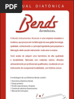 Manual Diatonica Novo