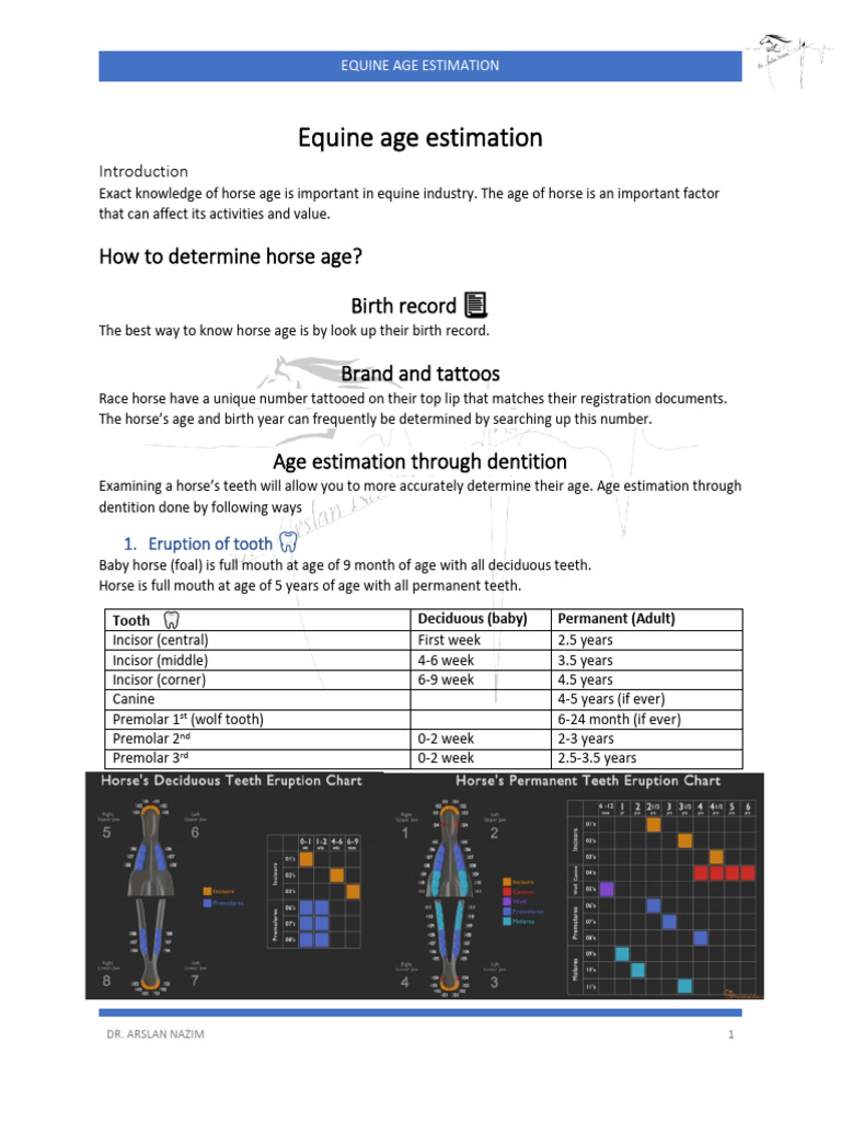 Age Estimation in Equines | PDF | Tooth | Mouth