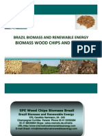 Brazil Biomass and Renewable Energy