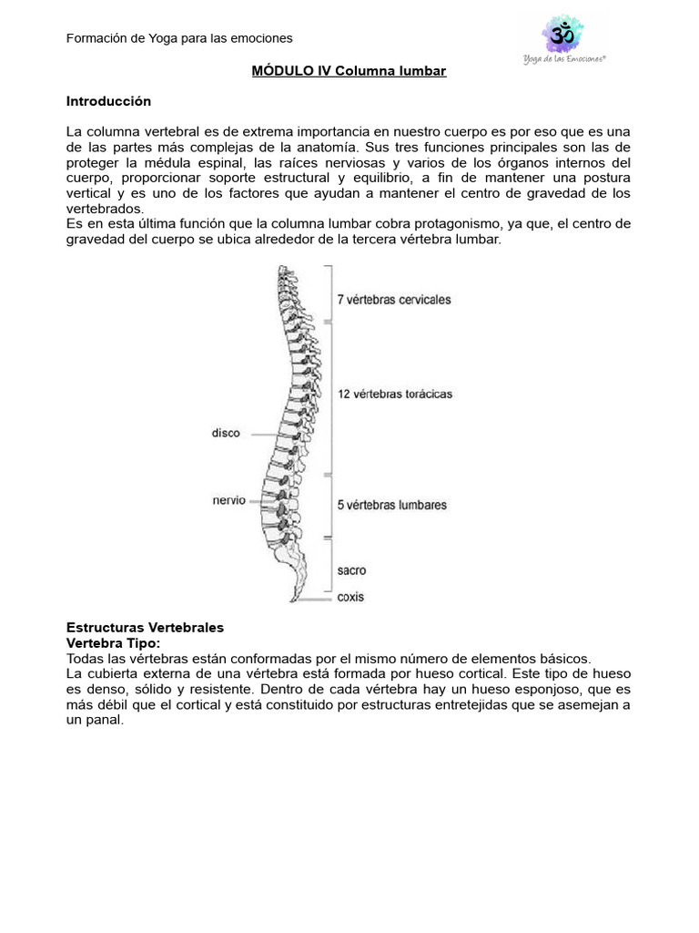 Yoga y Anatomía de la Columna Lumbar | PDF | La columna vertebral ...