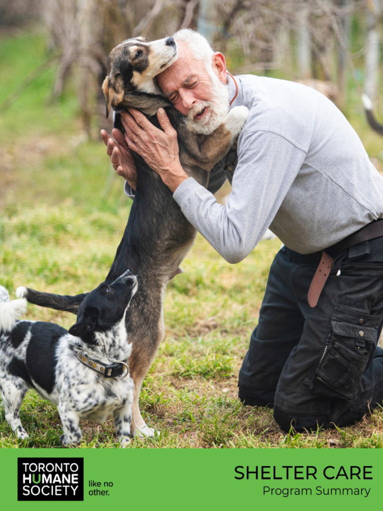 program-summary-shelter-programs-shelter-care-pdf-animal-welfare